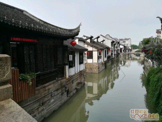 辽宁东北虎队 可能迎来百万级外援 他比暴脾气韦世豪还要叛逆